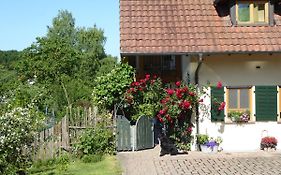 Ferienwohnung Waldblick
